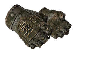 ★ Hydra Gloves | Mangrove (Battle-Scarred)