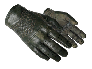 ★ Driver Gloves | Racing Green (Field-Tested)