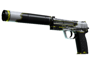 USP-S | Torque (Field-Tested)