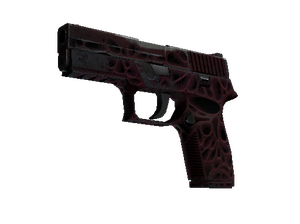 StatTrak™ P250 | Contaminant (Well-Worn)