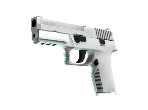 P250 | Whiteout (Minimal Wear)